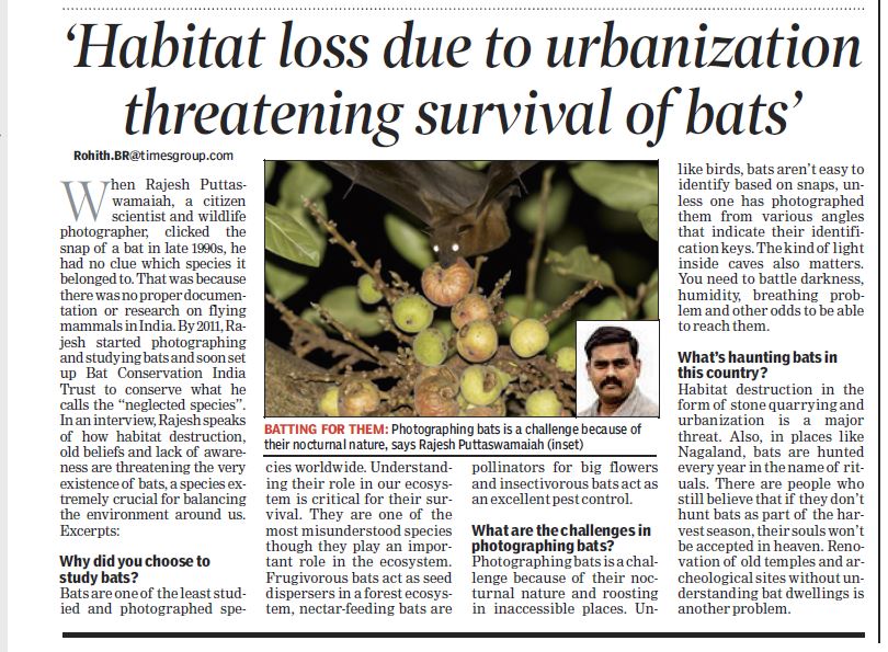 Habitat Loss Due To Urbanization Threatening Survival Of Bats – Bat ...